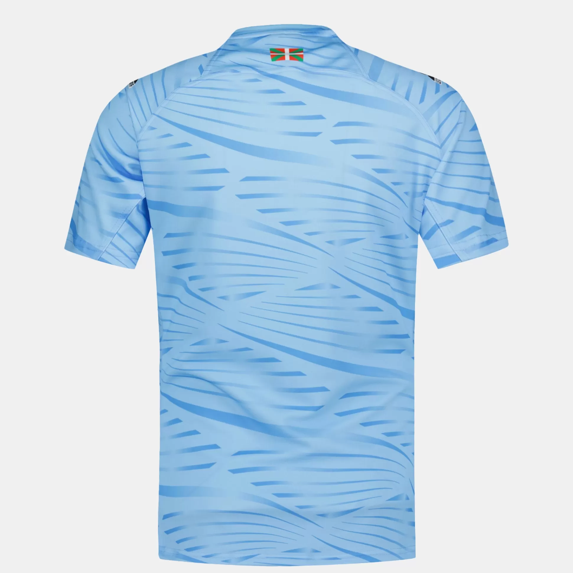 Homme Le Coq Sportif Aviron Bayonnais - tenue d'entrainement Maillot Pré match officiel Aviron Bayonnais Homme